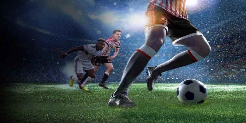 sodo88 đá gà trực tiếp hôm nay