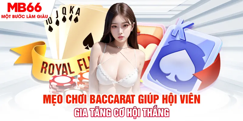 sodo88 đá gà 88