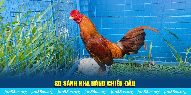sodo88 xổ số tiền giang