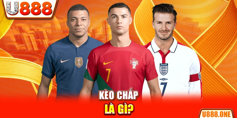 sodo88 chổi lông gà