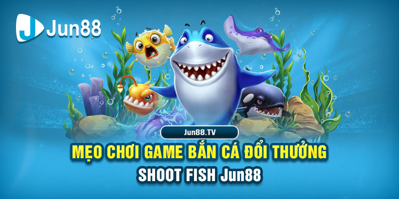 sodo88 tai game danh bai bigkool ve may tinh
