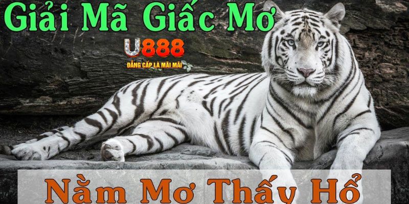 sodo88 xổ số kiến thiết miền bắc