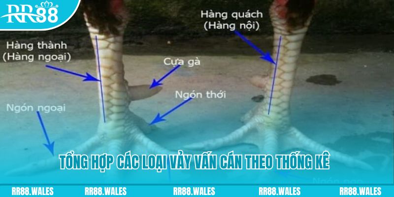 sodo88 nổ hũ chơi như thế nào