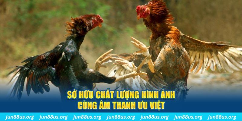 sodo88 tai game danh bai ve may tinh