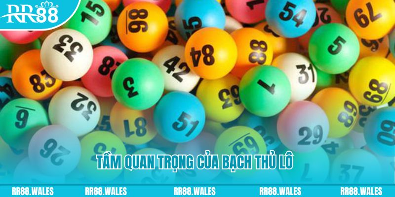 sodo88 đá gà trực tiếp casino