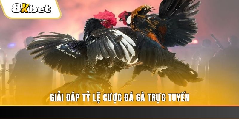 sodo88 xổ số ba đài