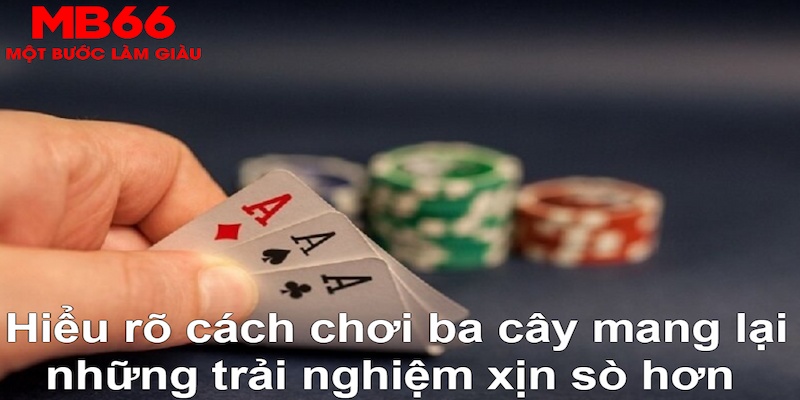 sodo88 ÁT CHỦ BÀI GIÀNH LẤY ZHUANG NIUNIU ( XEM 3 LÁ )
