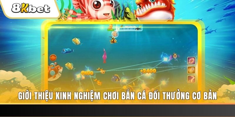 sodo88 8 bí ẩn chơi nổ hũ ít ai biết