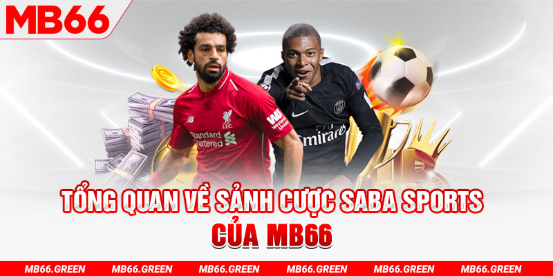 sodo88 slot có nghĩa là gì