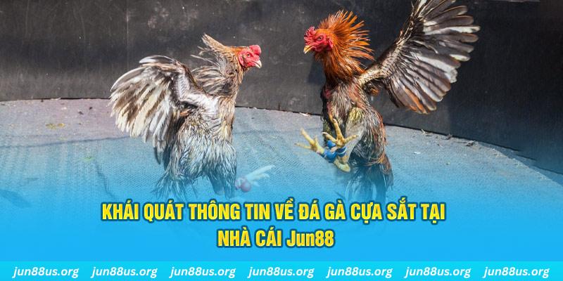 sodo88 game bài trên máy tính